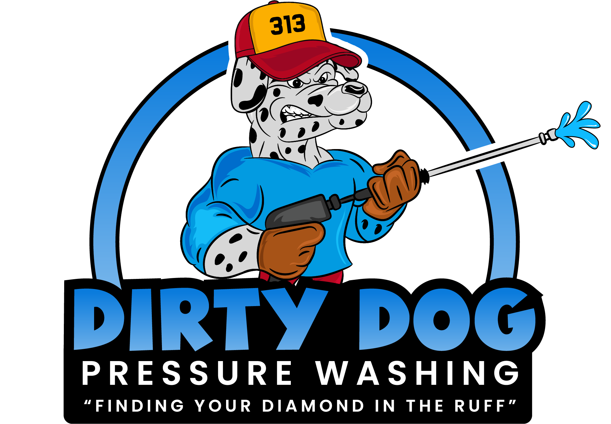 Dirty Dog Pressure Washing